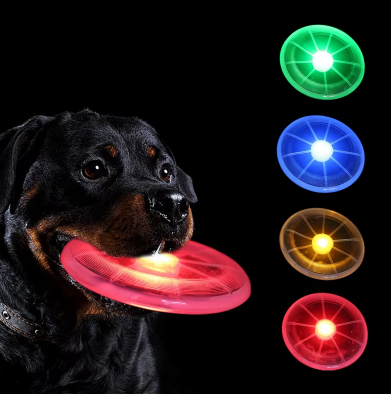Light-Up Frisbee for Dogs – Play without limits, even at night